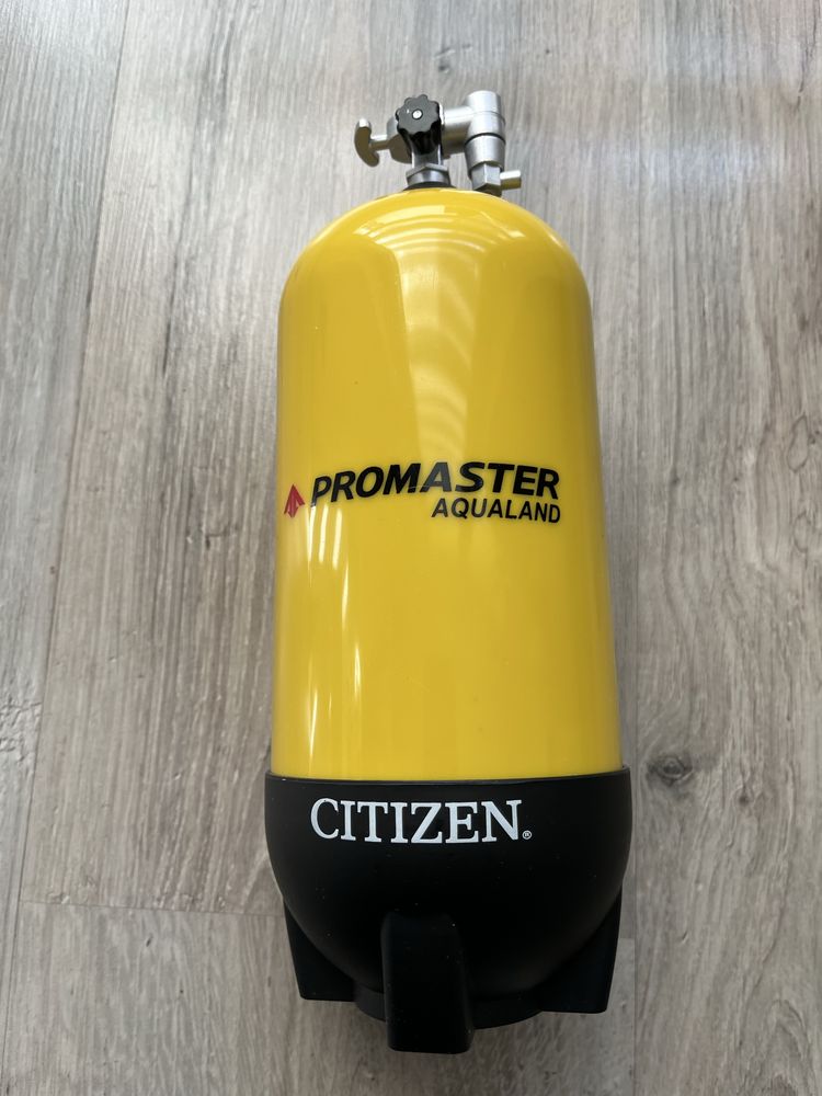 Zegarek Citizen BN0205-10L