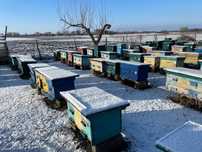 Продам вулики лежаки та корпусні.