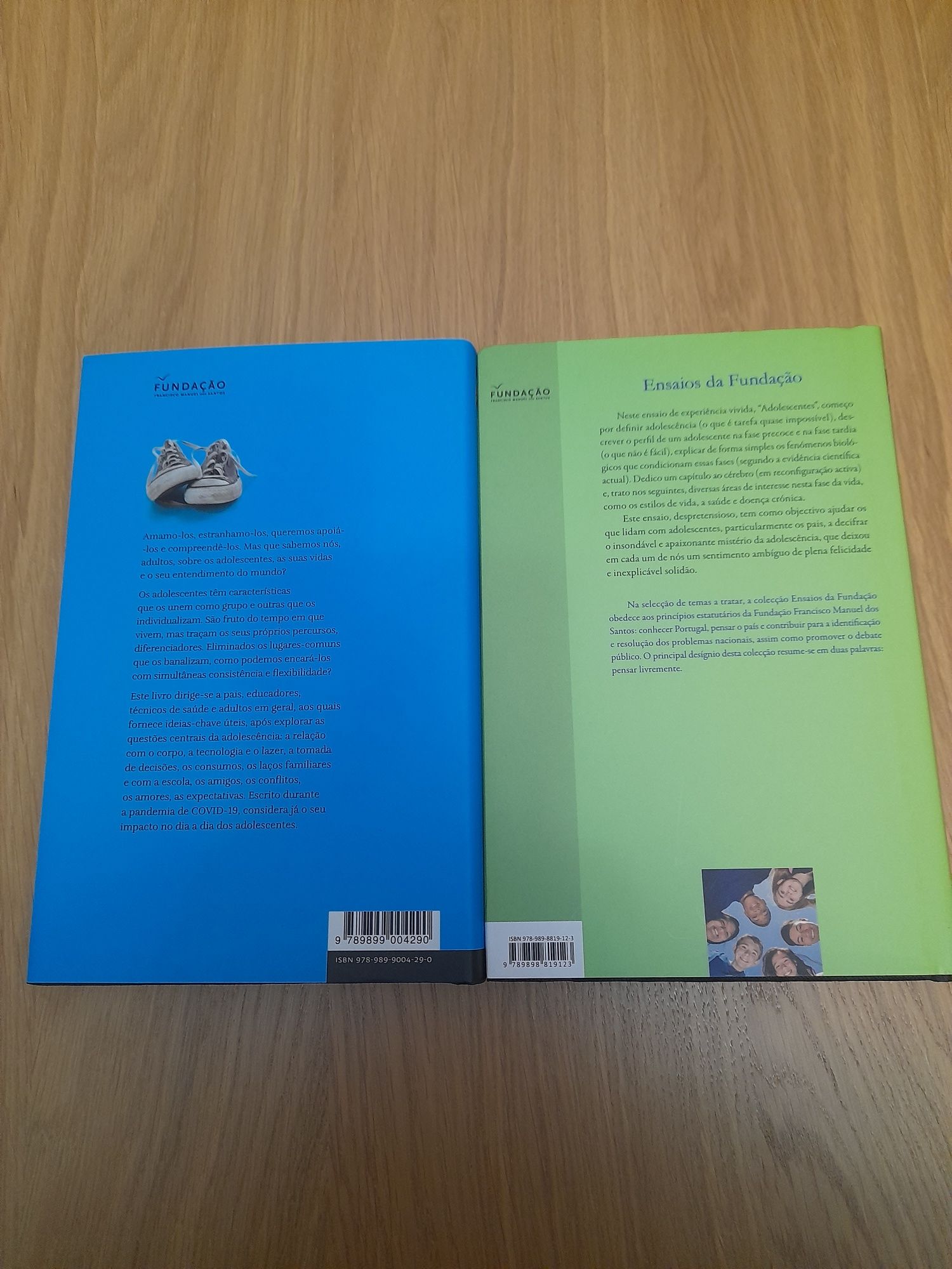 2 livros sobre a adolescência [ valor pelos 2]