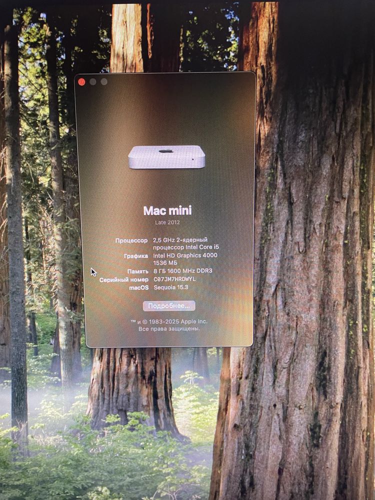 Mac mini 2012 8/256