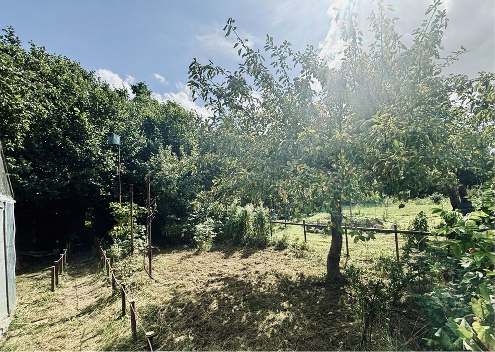 Sprzedam działkę ROD na Olszynce