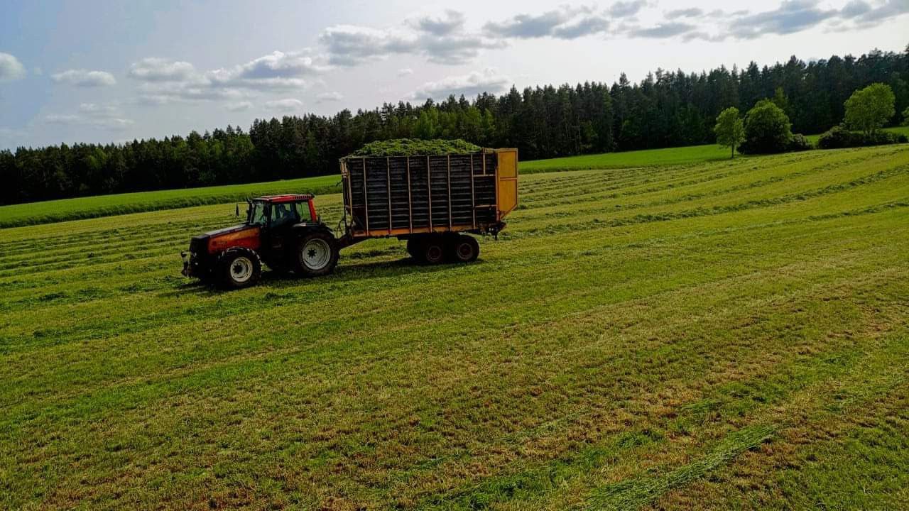 Usługi rolnicze zbiór traw sieczkarnia John Deere