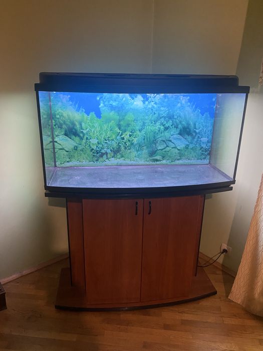 Продам акваріум з тумбою