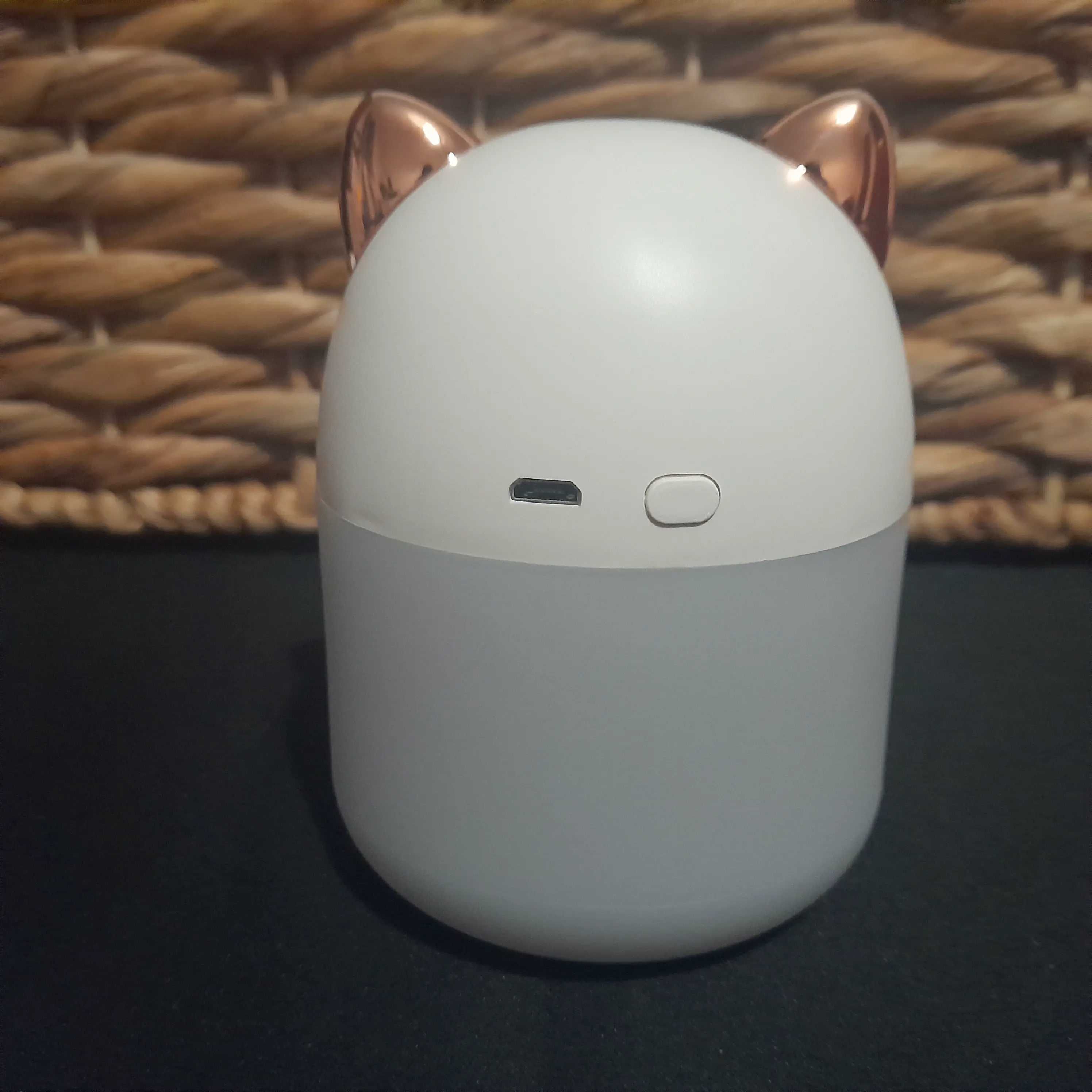 Mini Humidificador: Transforme Seu Espaço com Conforto e Saúde!