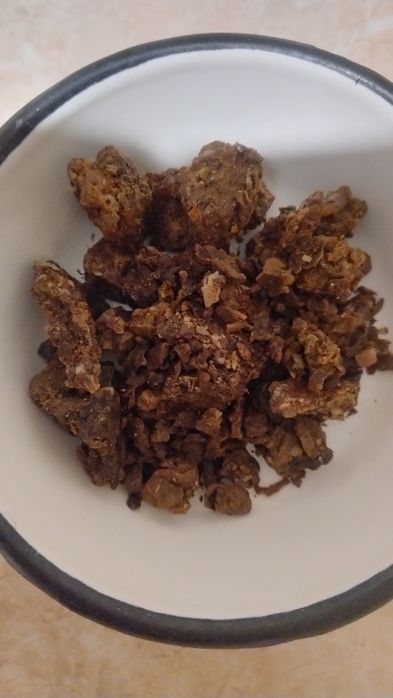 Propolis / kit pszczeli 2025r.