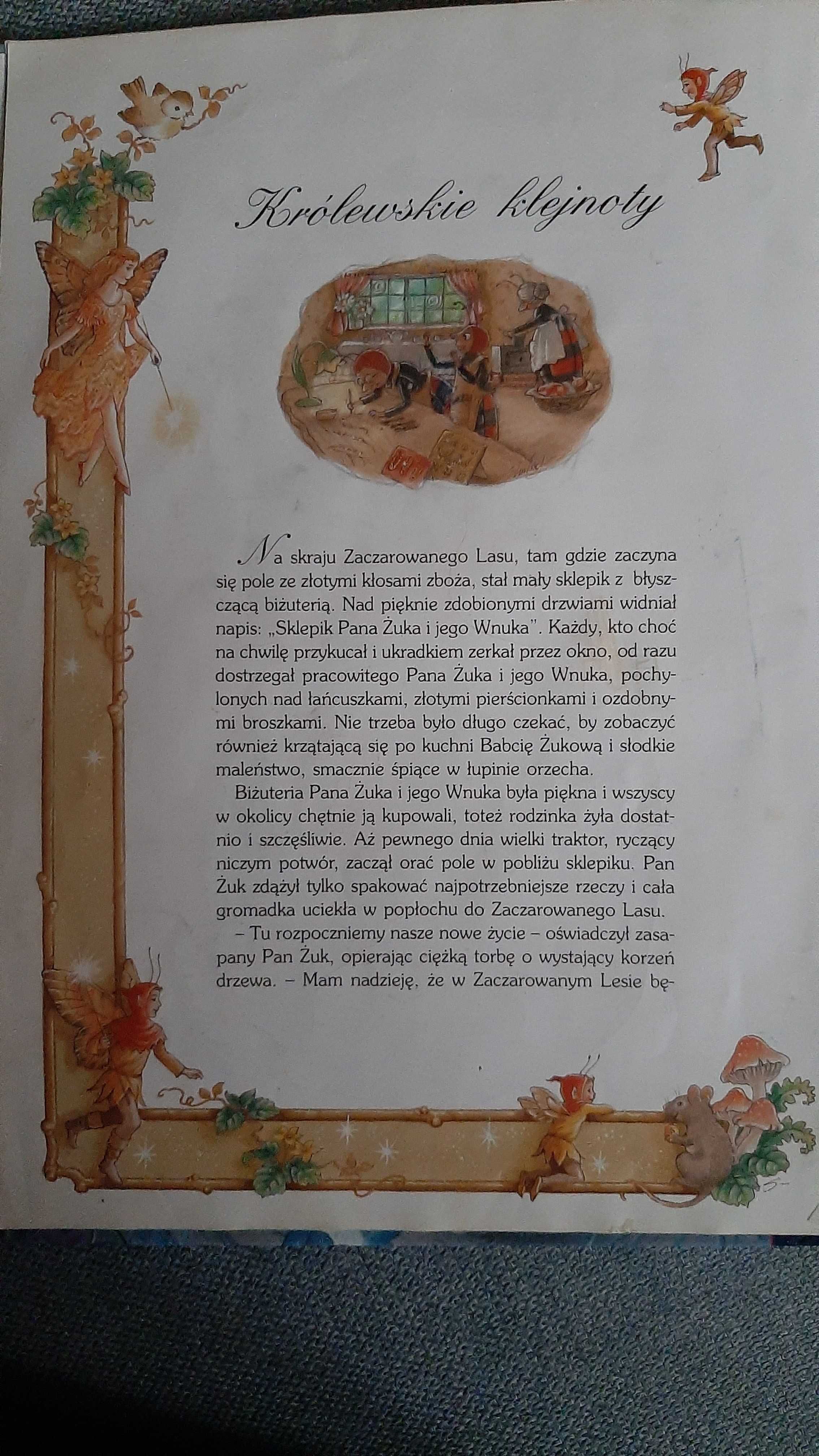 Bajki na dobranoc Złota wróżka tekst ilustracje Shirley Barber piękne
