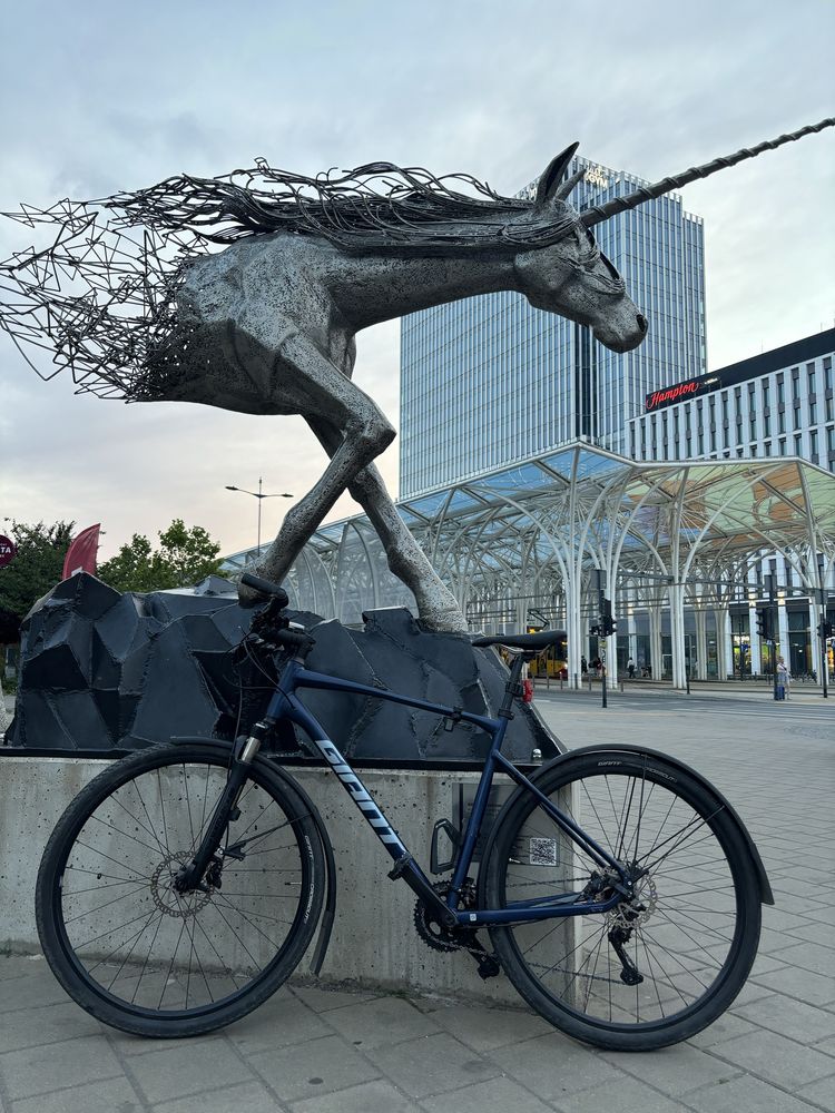 Giant Roam 1 2022 rozmiar XL