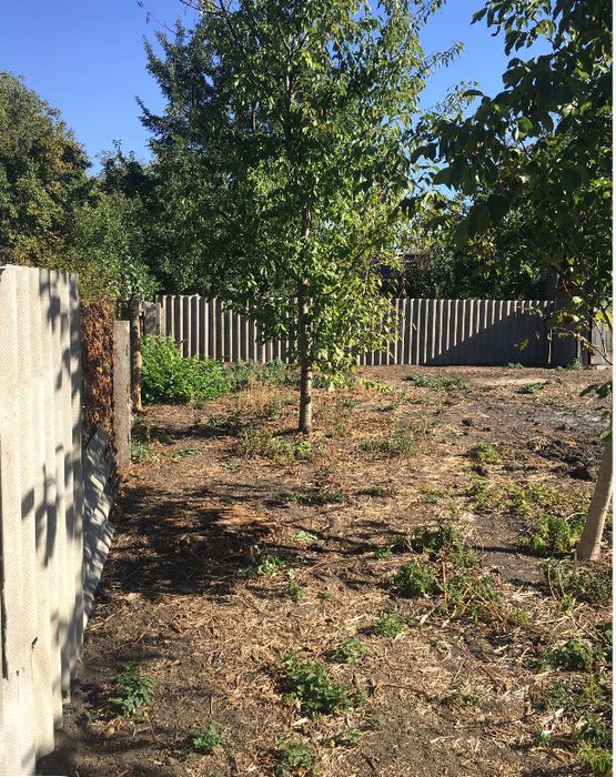 Продам будинок Диканька