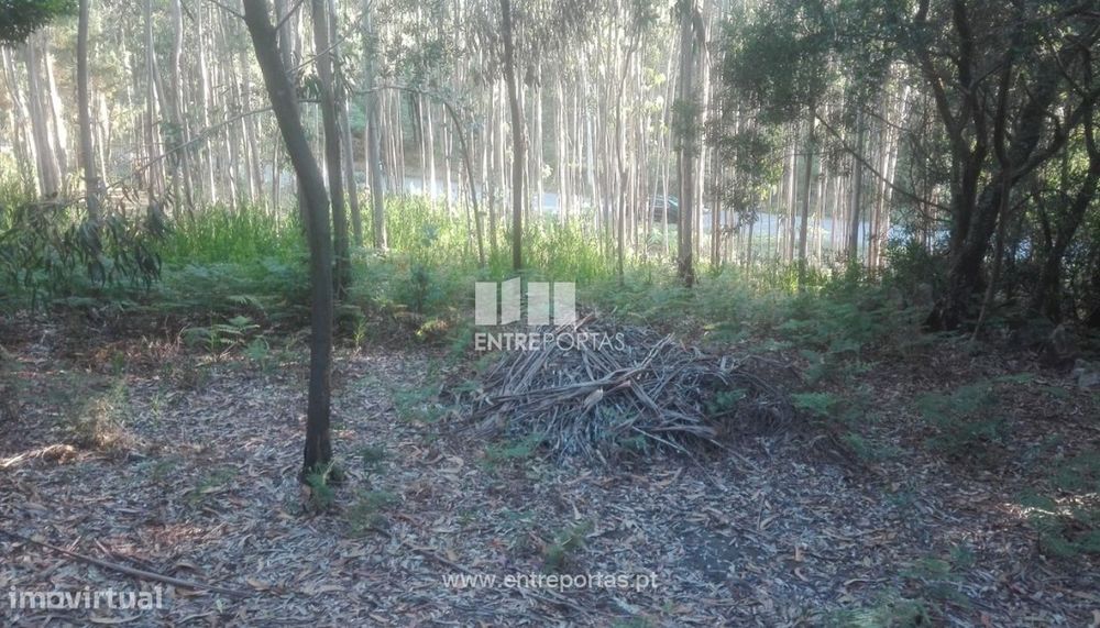 Terreno de construção para venda, Vilarelho, Caminha