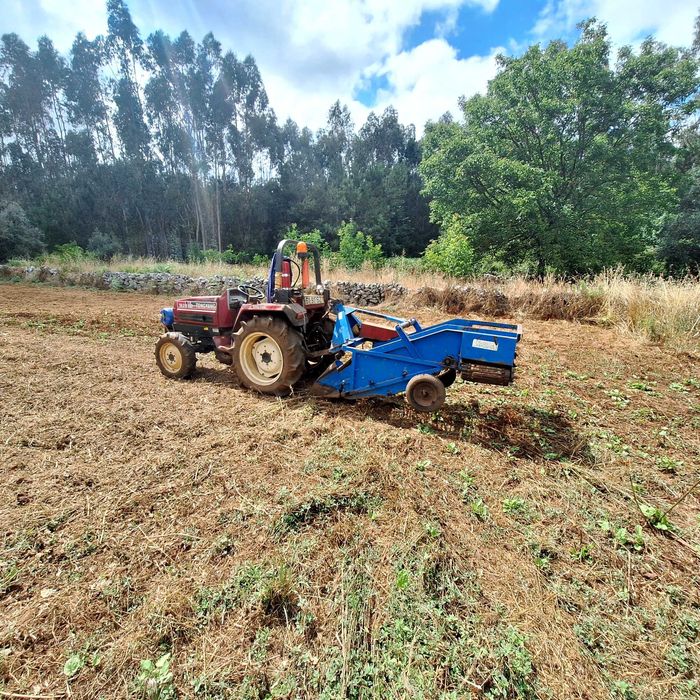 Arrancador de batatas pijuca 1 linha