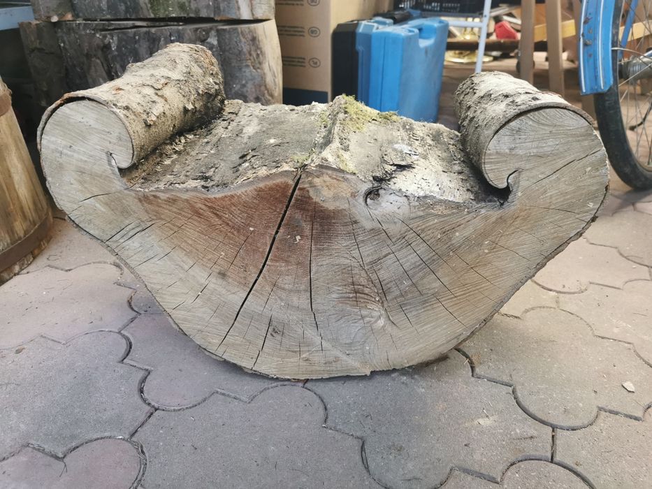 Plaster drewna bukowego po uderzeniu piorunem