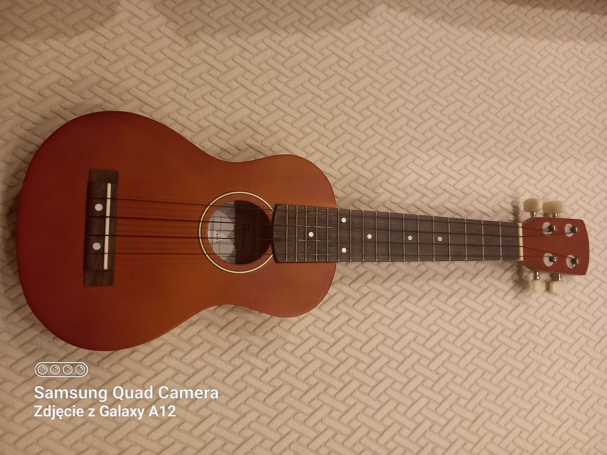 Ukulele Nowy instrument z futerałem i akcesoriami