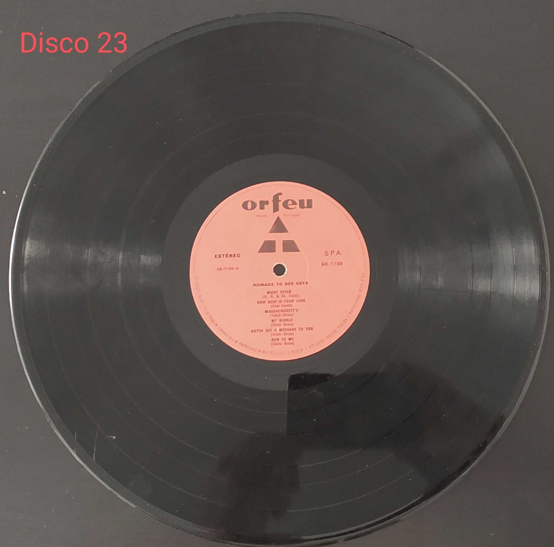 Bee Gees Homage To LP Disco 23