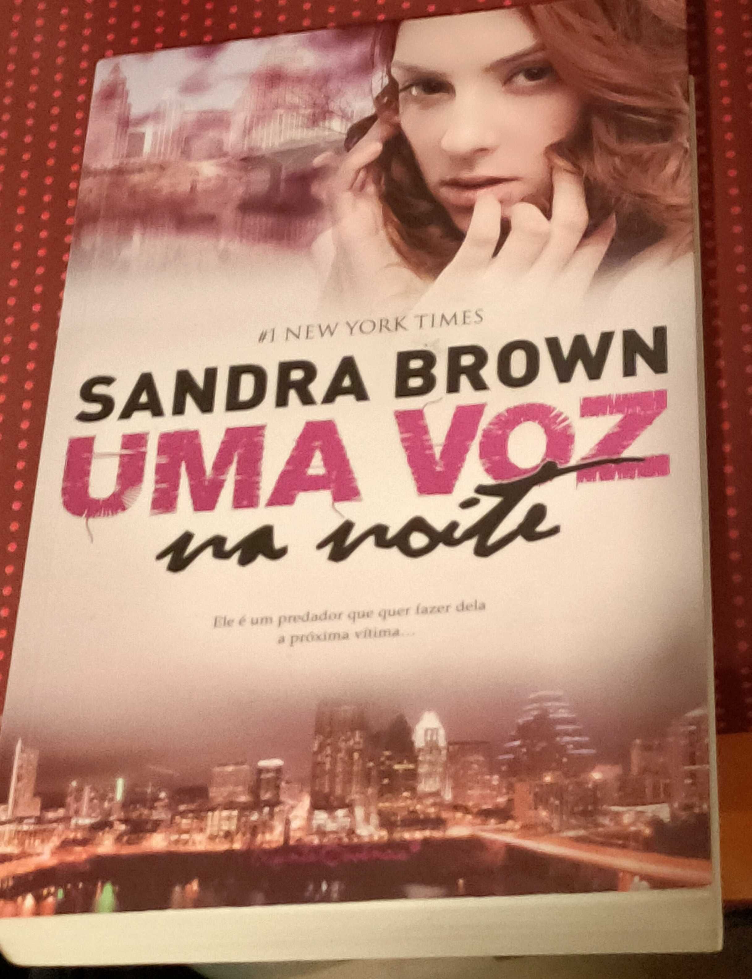 Uma voz na noite de Sandra Brown