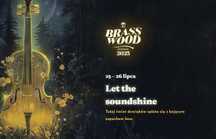 Dwa bilety na Brasswood - Kwitnienie (Morcheeba)