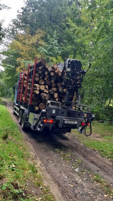 drewno kominkowe, opałowe : (dąb, jesion, buk) kłody z dostawą
