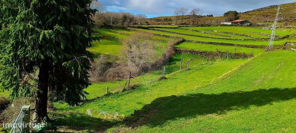Terreno  para venda