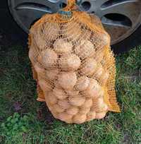 ziemniaki odmiana BRYZA