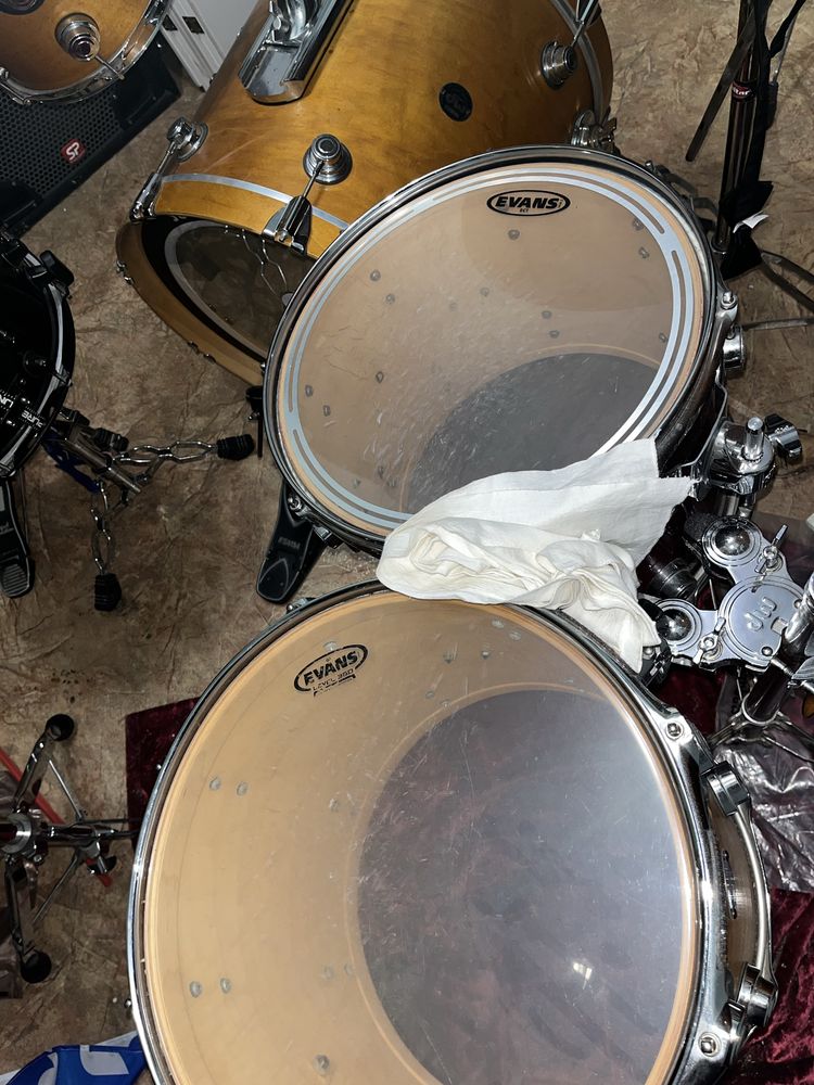dw drum collectors maple
