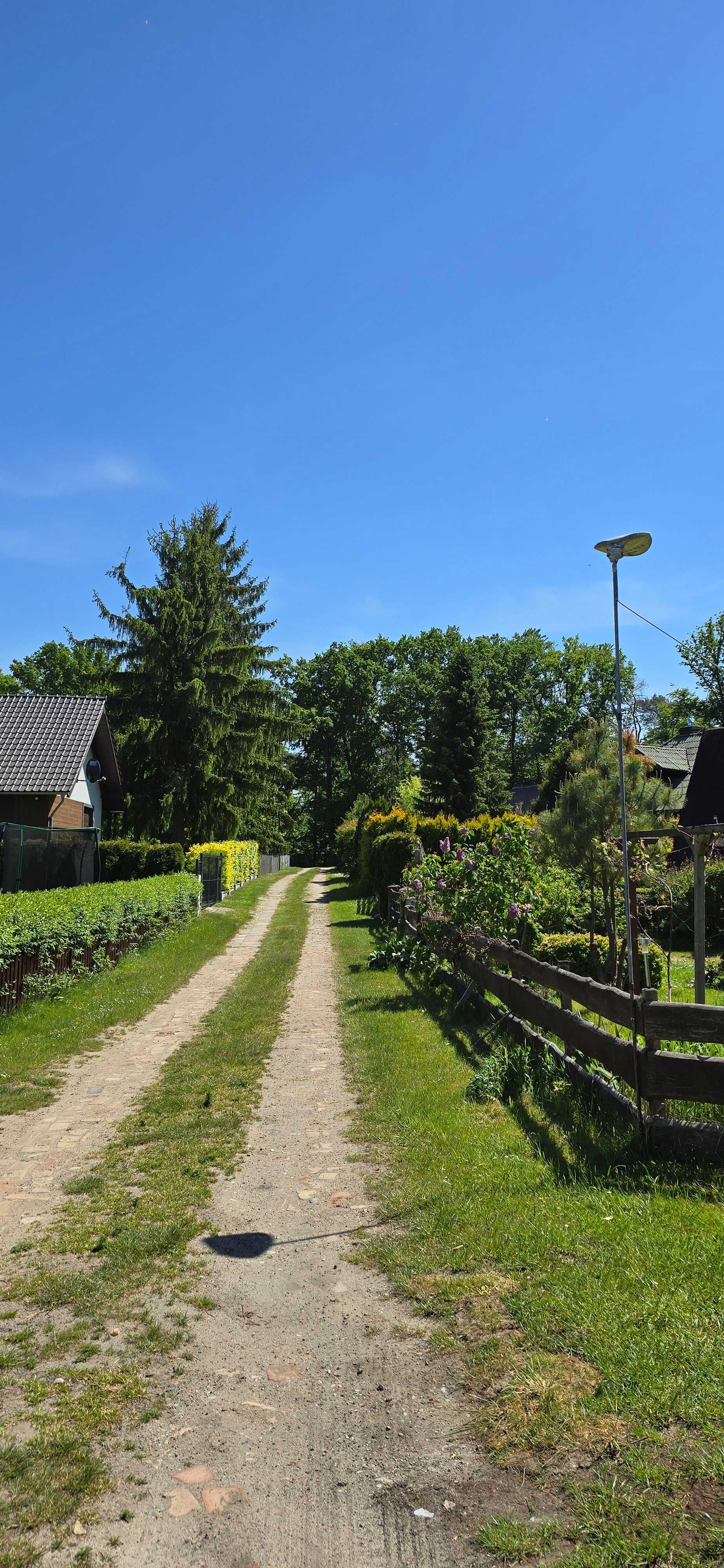 Domek nad jeziorem wśród lasów
