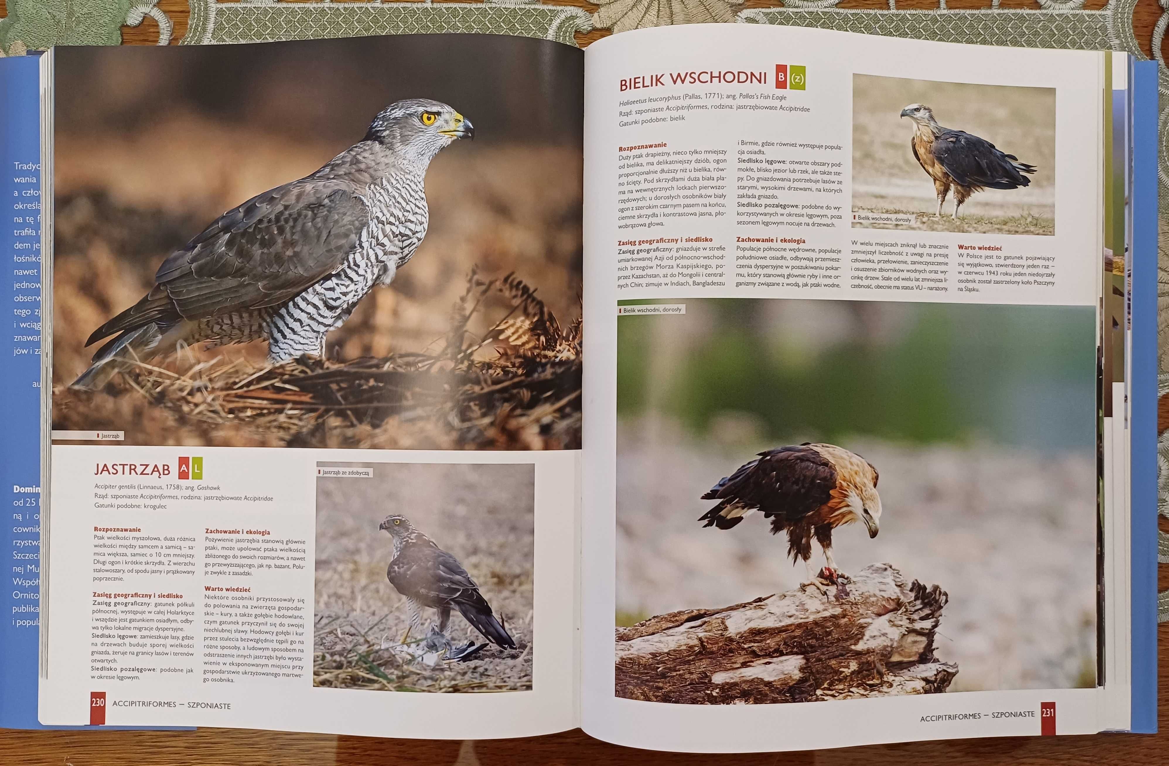 Album Ptaki Polski Dominik Marchowski - Jak Nowa !