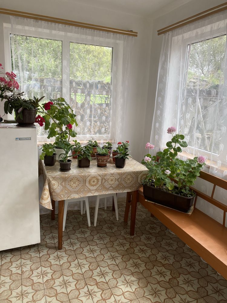 Продаж будинку в селі Боршів