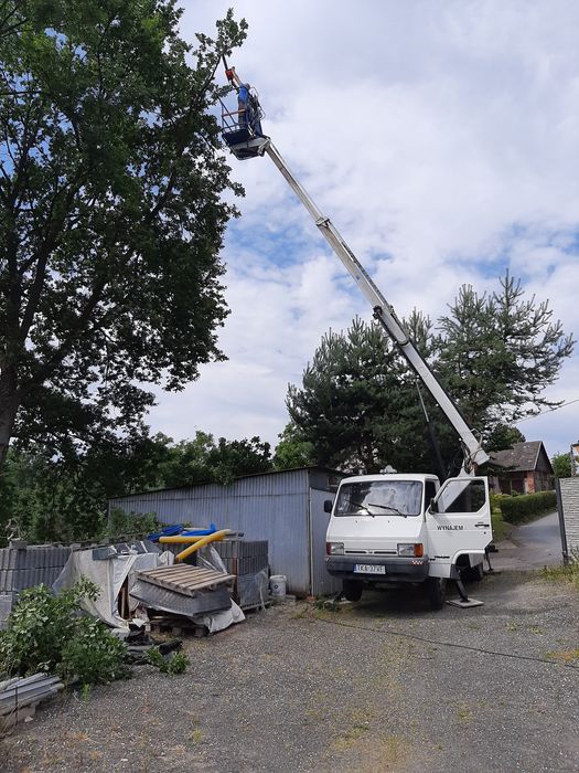 Wycinka drzew tui żywopłotów usługi rębak karczownik wywóz zieleni