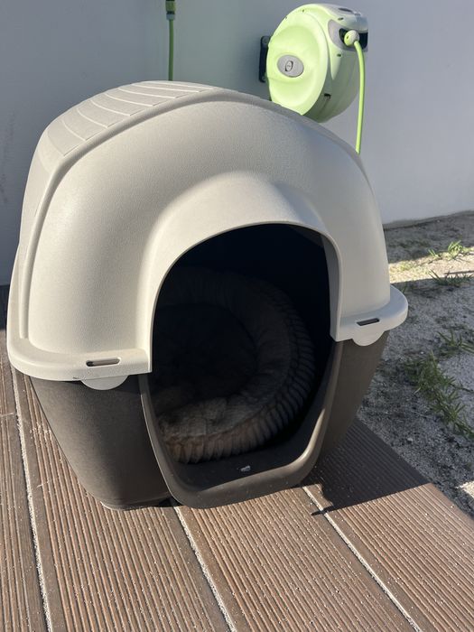 Casota para Cão Médio Porte