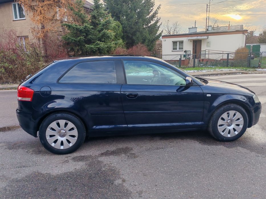 Audi A3 8P 1.6 MPI (102 KM), Benzyna, 2004 r.