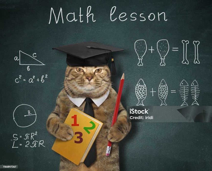 Matematyka Szkoła podstawowa