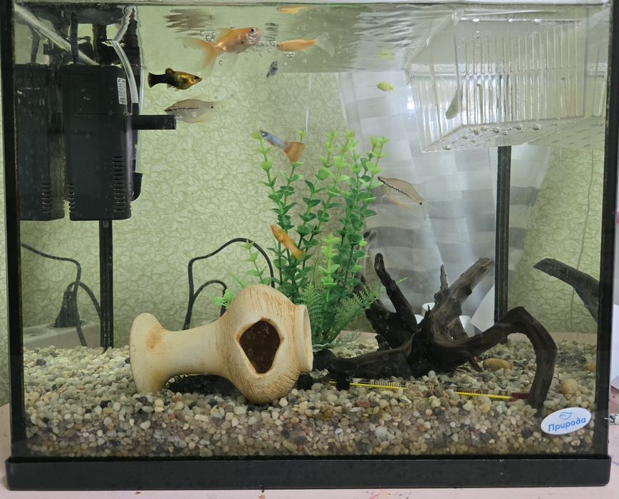 Акваріум з рибками.ПОВНИЙ КОМПЛЕКТ!