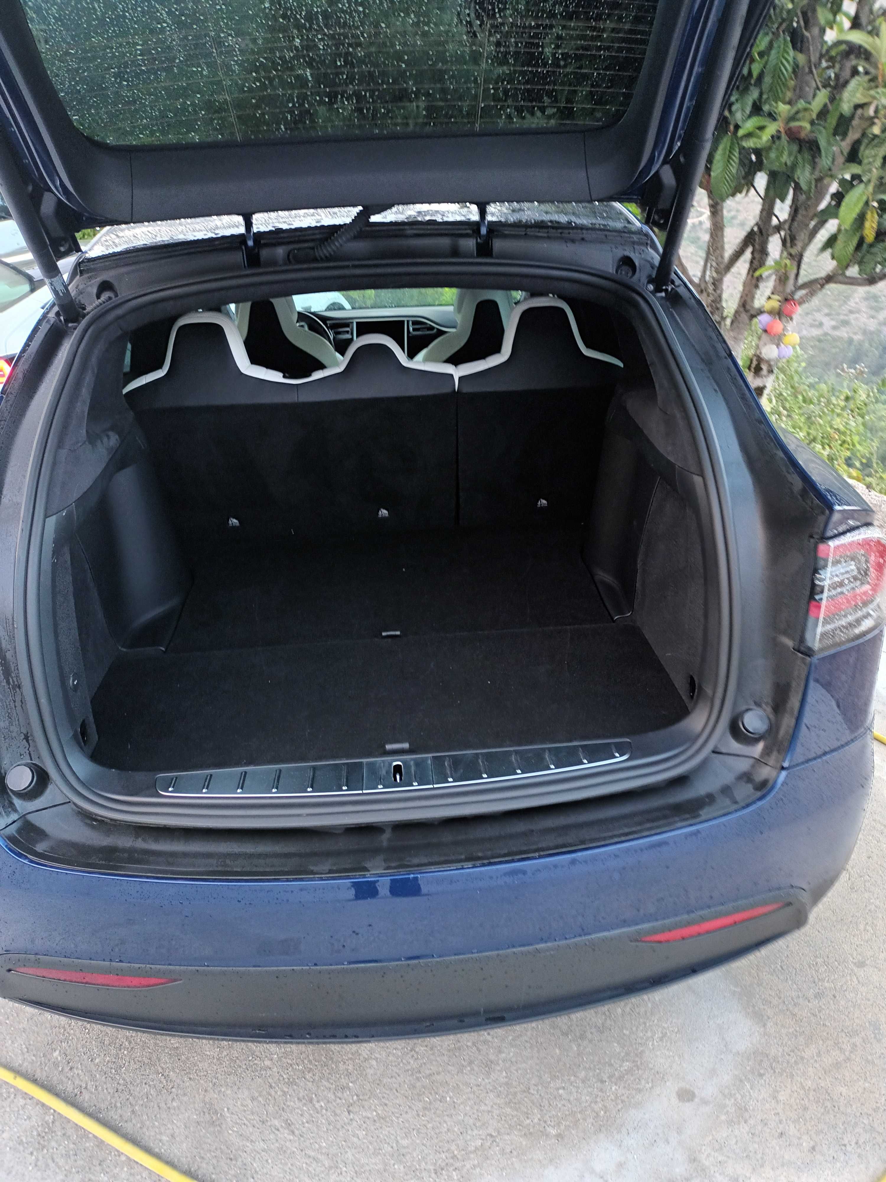 Tesla Model X 75 D - 18