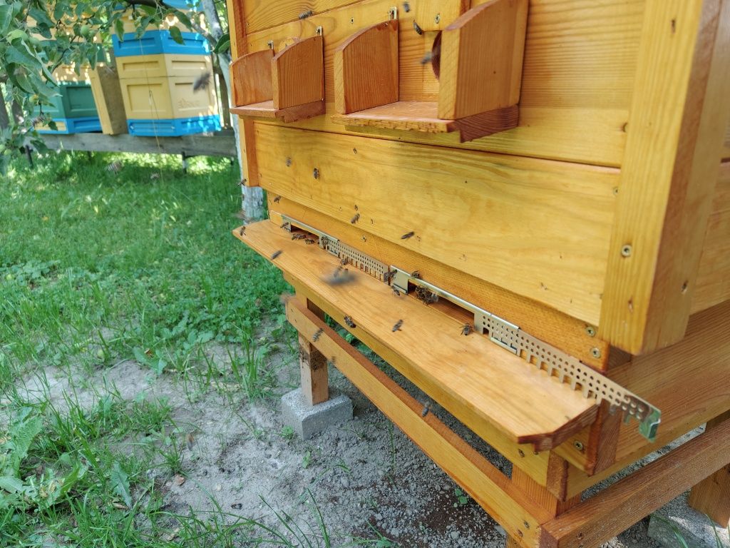 Ul Wielkopolski leżak 18 ramek