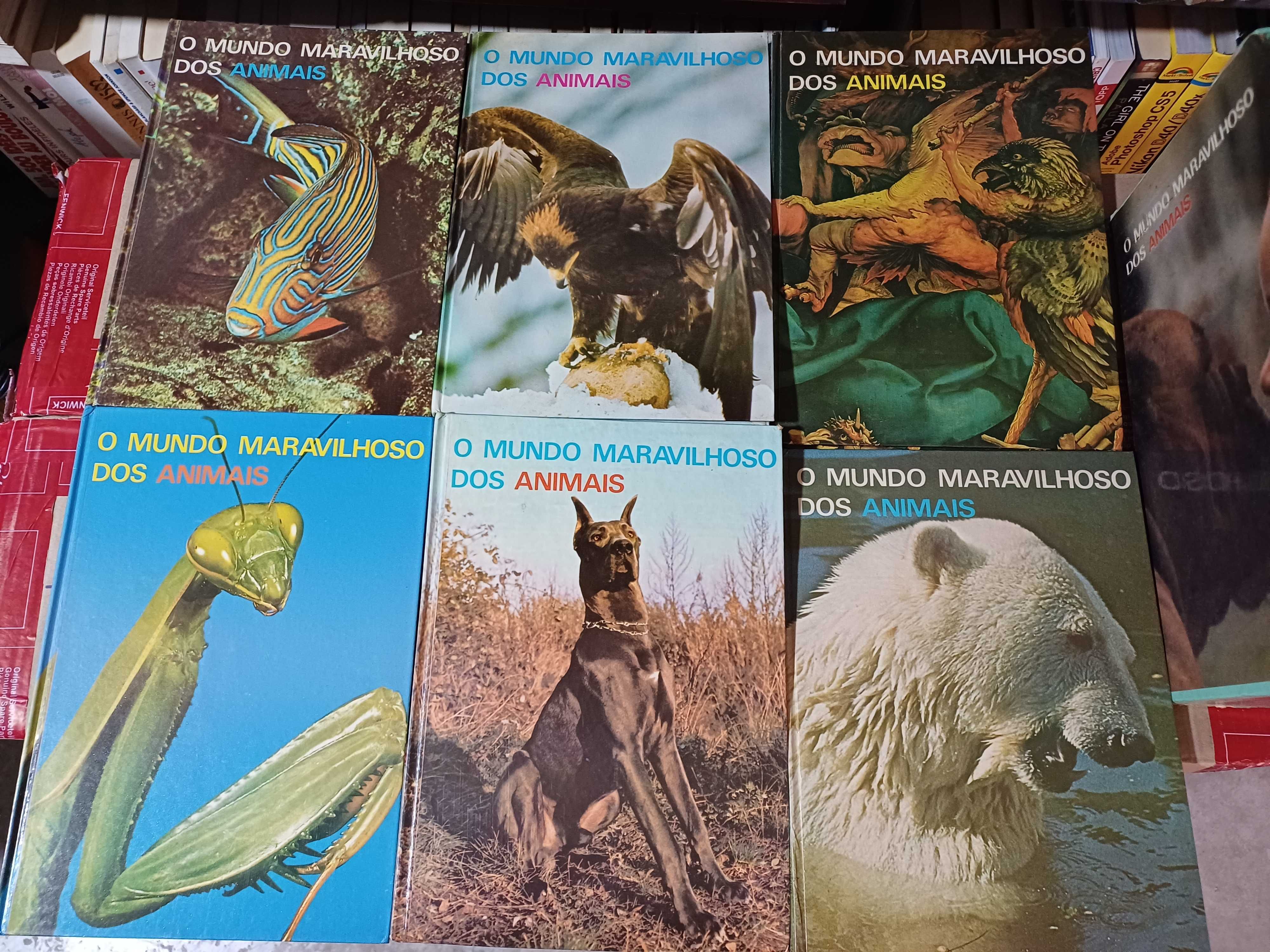 O mundo maravilhoso dos animais 6 volumes e caixa