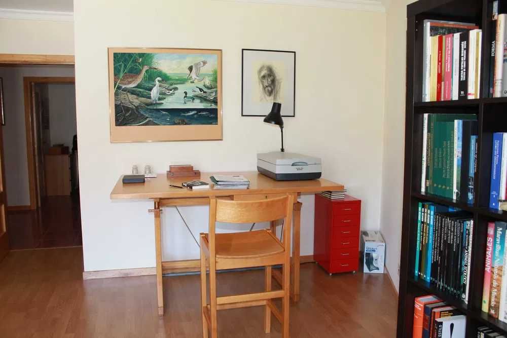 "Vida no Sapal" Alfredo da Conceição (1978)