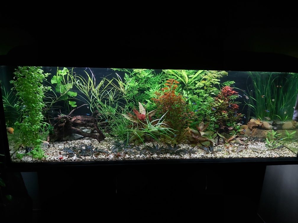 Pokrywa do akwarium 150x50[cm] z oświetleniem LED