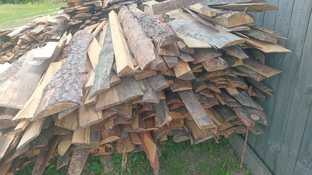 Обзели соснові двохметрові