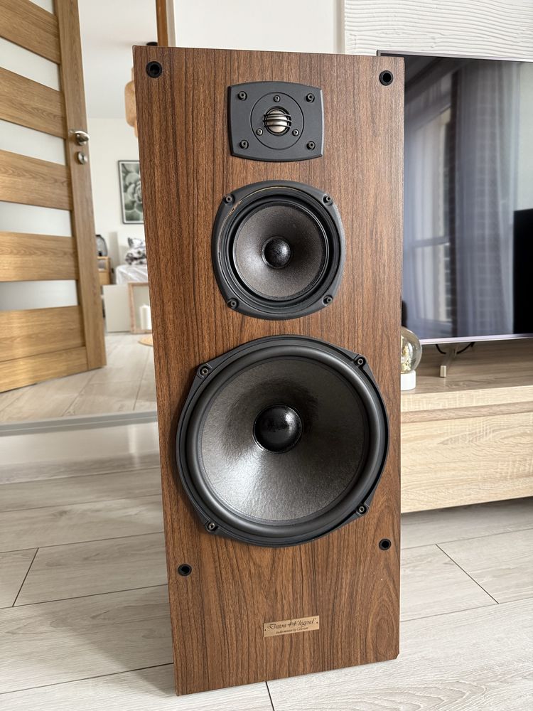 Celestion Ditton 44 Legend Wyśmienite brzmienie!