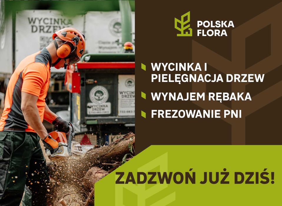 Wycinka i pielęgnacja drzew, wynajem rębaka, frezowanie pni.