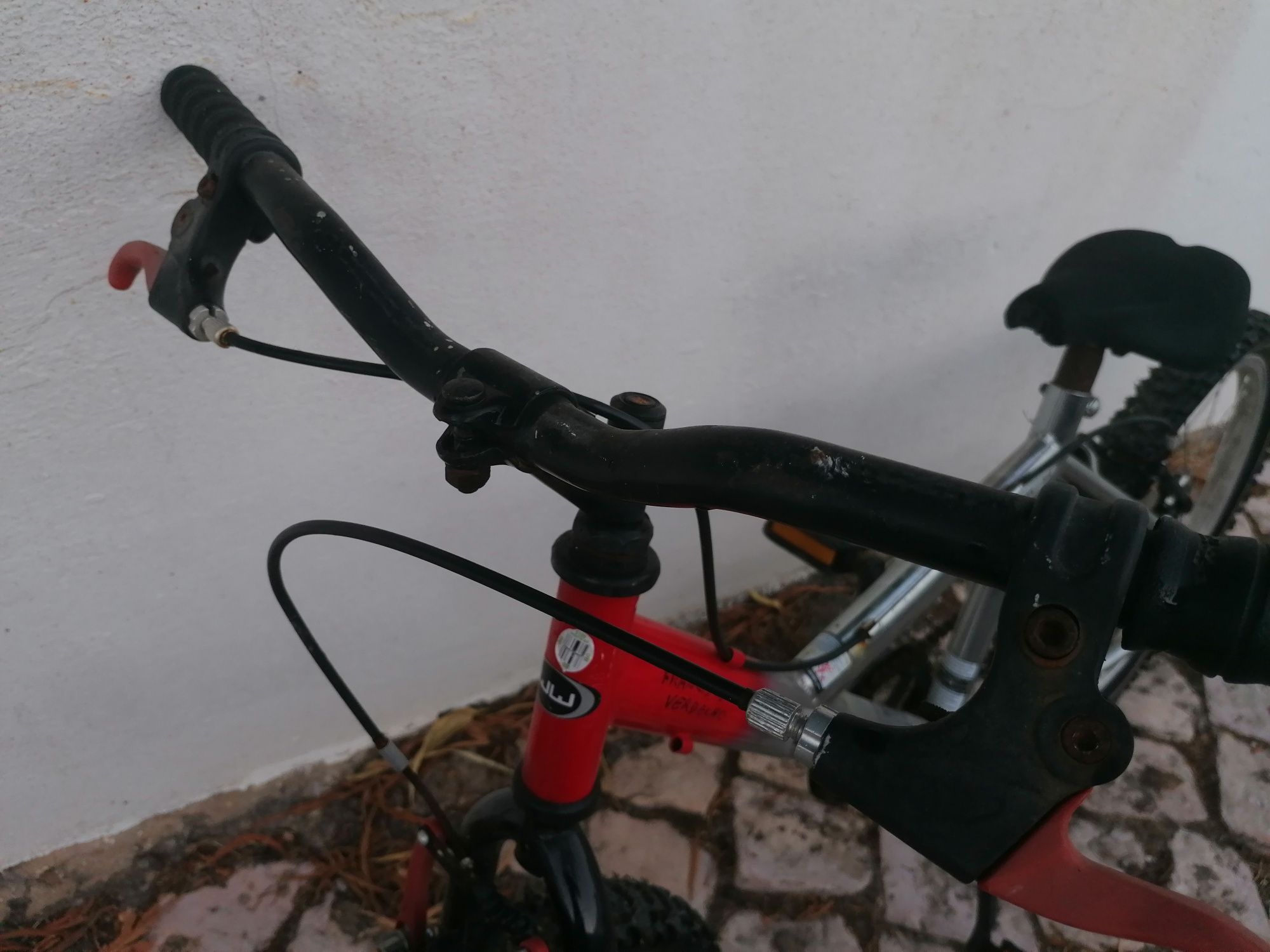 Bicicleta criança