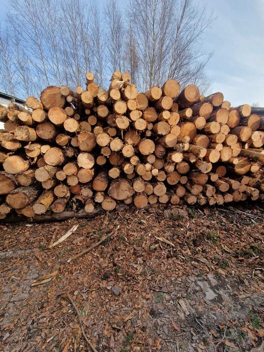 Sosna opał, sosnowe drewno opałowe - 45mp (możliwy transport)
