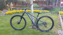 Rower NS bikes eccentric