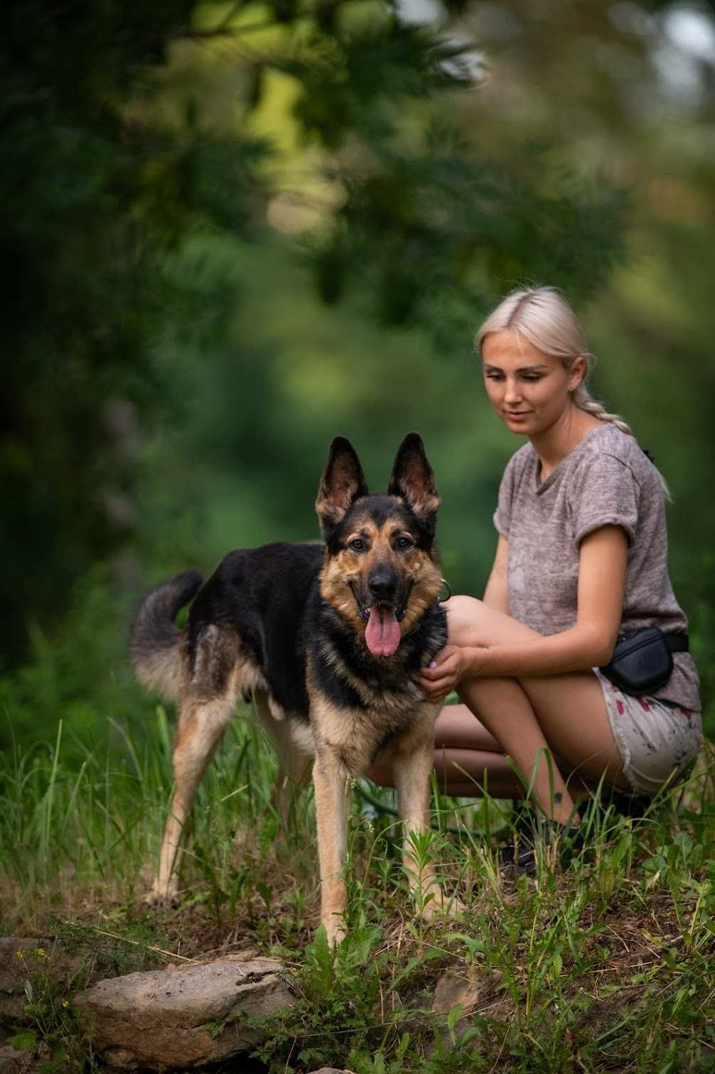Cudowny owczarek niemiecki MAXIMUS do adopcji!