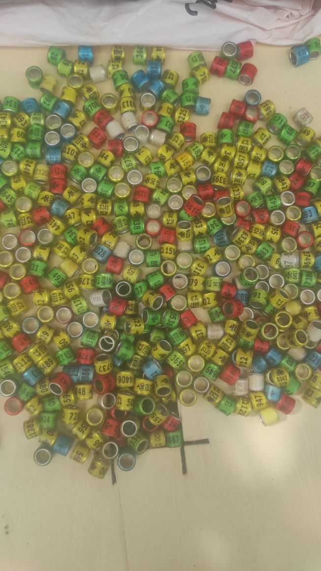 Stare obrączki na gołębie pocztowe