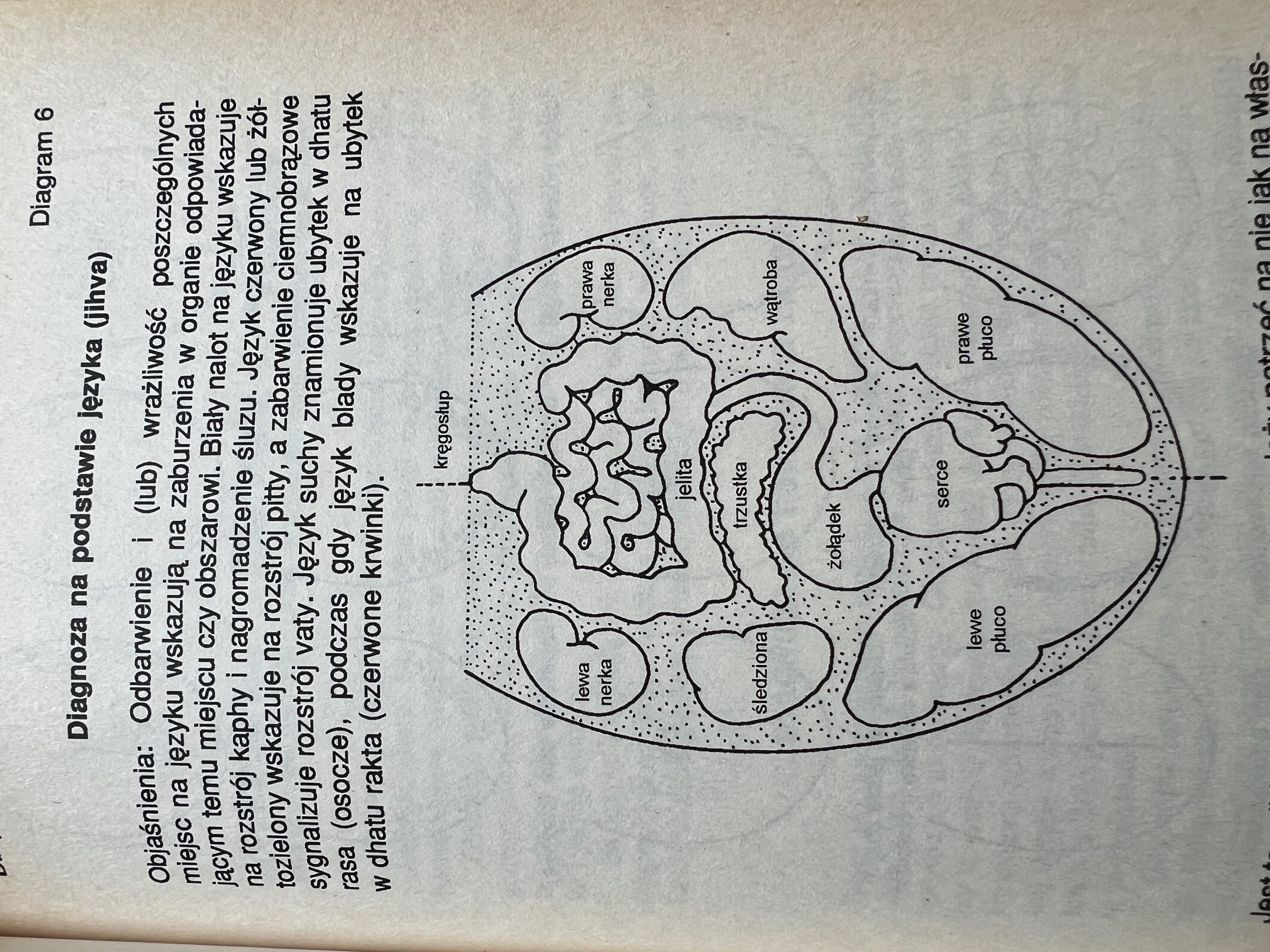 Vasant D.Lad - Ayurveda. Starożytna medycyna dalekiego wschodu