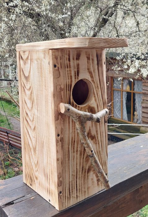 Domek dla Ptaka - Dudka