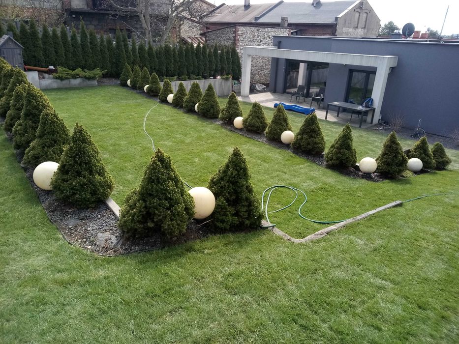 Trawa z rolki, trawa rolowana, zakładanie trawników