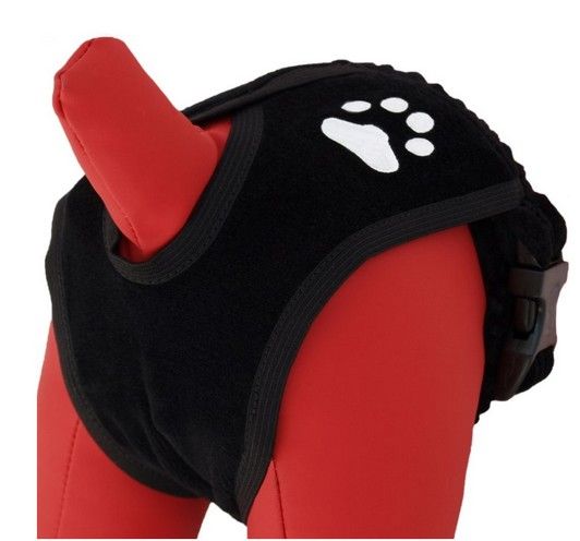 Bawełniane majtki dla suczki w cieczce Grande Finale Rozmiar 1 Czarne