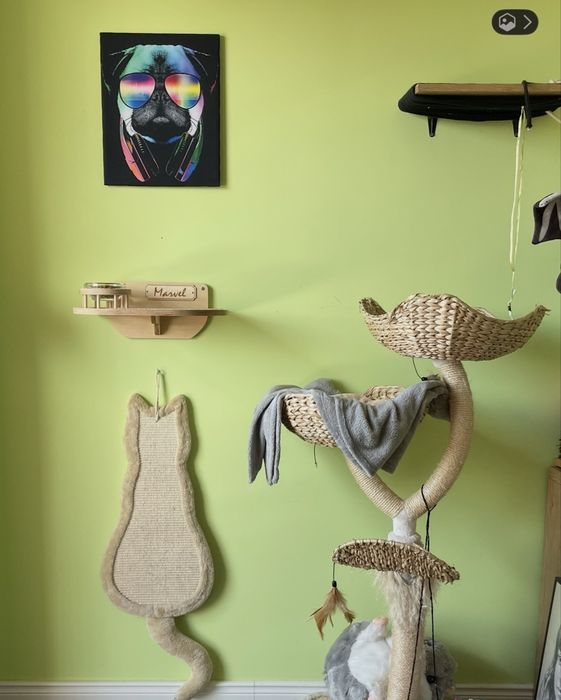 Półka dla kota z miskami i legowiskiem