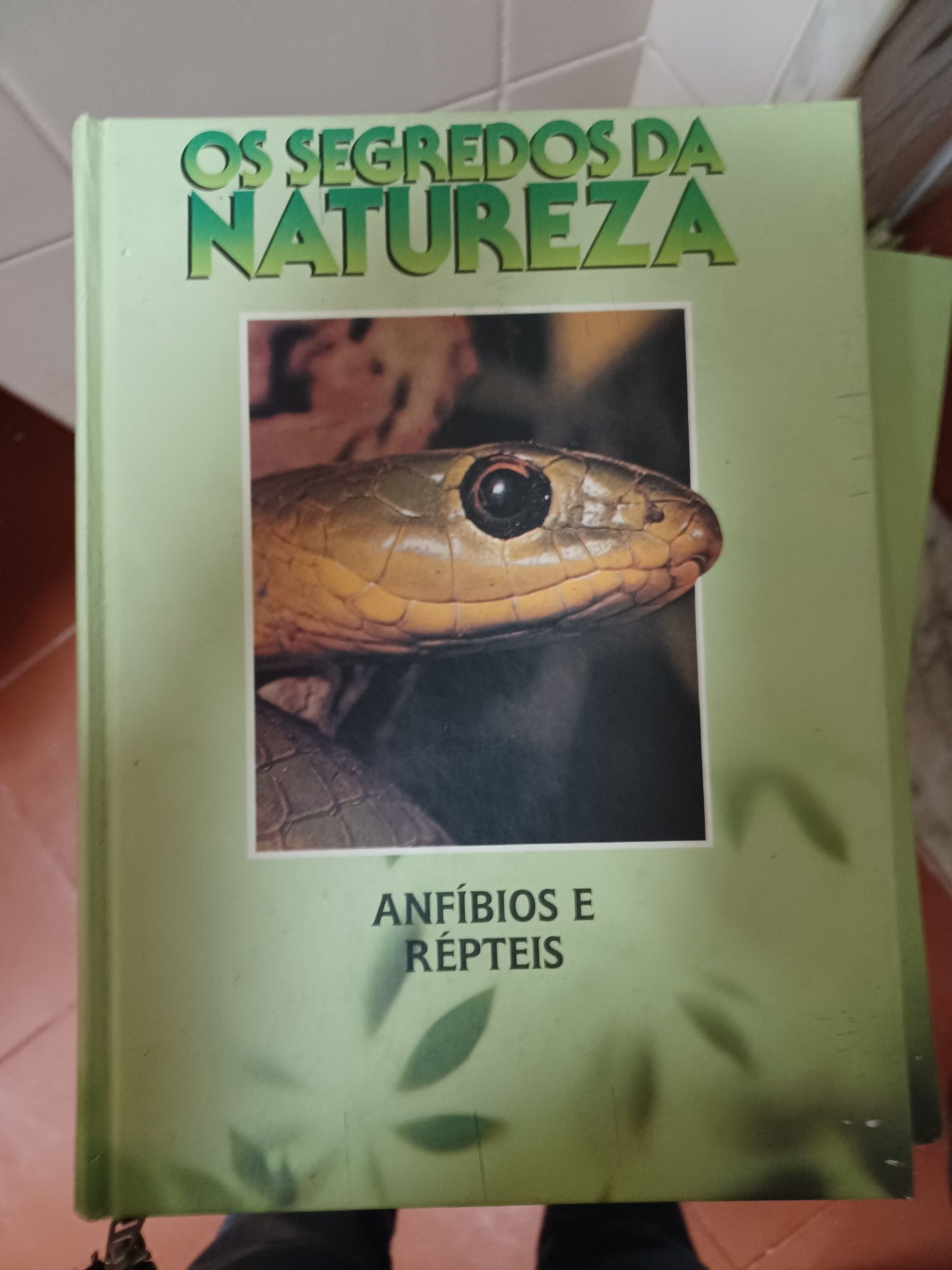 Enciclopédia Os Segredos da Natureza